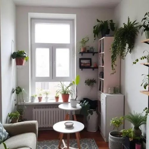 Plantas para apartamentos pequenos: dicas para deixar seu espaço encantador